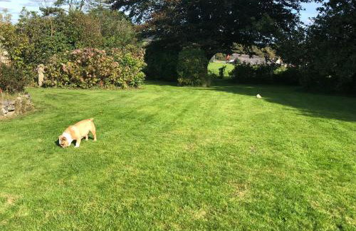 Greenhaven - Foto 65