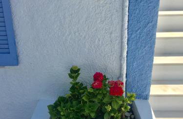 Kyano House - Photo 32