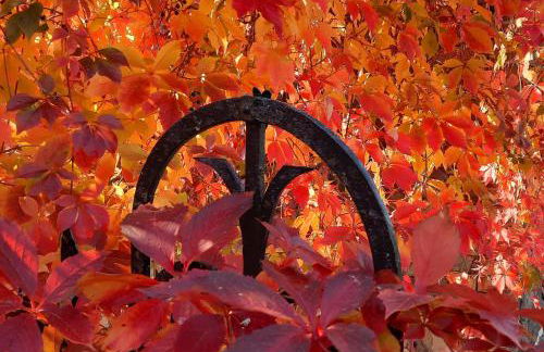 Vierseitenhof Hasenfelde - Ferienwohnung Feldblick - Foto 22