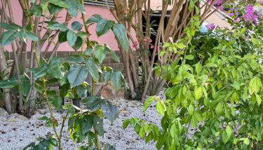 Artatore24 - Modern and stylish Apartments - Foto 5, Garden