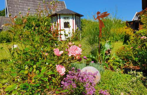 Ferienhaus Damp Windrose - Foto 30