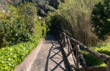 La Casina di Checco - Foto 14