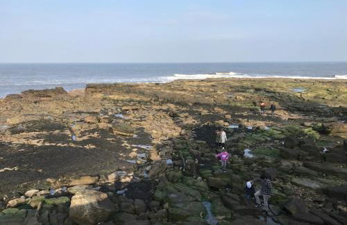 Marina Townhouse at Harlepool - Photo 28