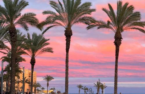 Apartament La Mata - Photo 21