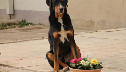 Waldhof-Iphofen - Foto 5