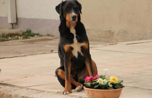 Waldhof-Iphofen - Foto 5