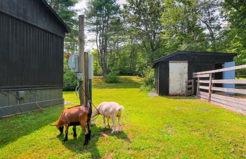 Peaceful Brookside Getaway about 10 Mi to Okemo Slopes! - Foto 20