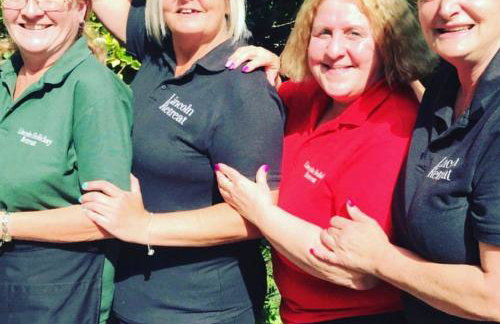 Lincoln Holiday Retreat Cottage with Private Hot Tub - Foto 77