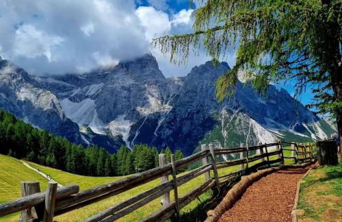 Chalet Pian della Velma - Auronzo di Cadore - Photo 33