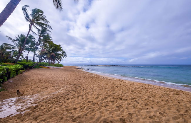 Kauai Kiahuna Plantation by Coldwell Banker Island Vacations - Foto 62