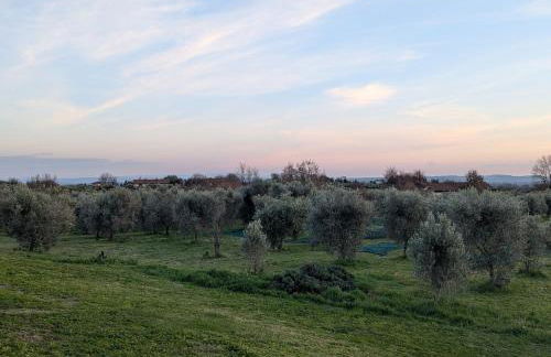 Namaste - Mare, Lago di Bolsena e Terme di Vulci - Foto 35