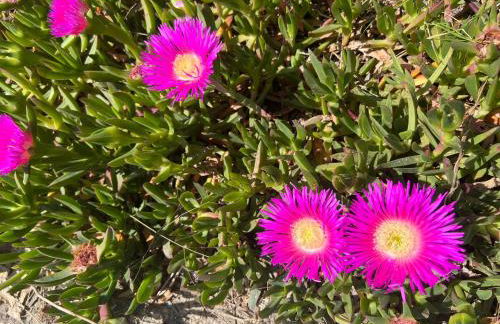 Saint James Park downstairs - Foto 8