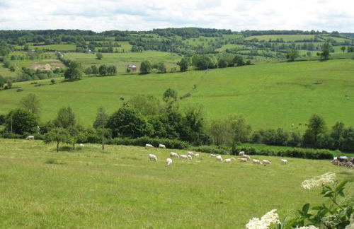 Gîte "Le Refuge" Dans un Domaine de 7ha Au Calme - Foto 22