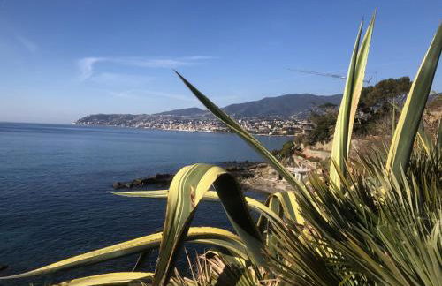 Lovers' Nest - Unità 1 - Foto 34