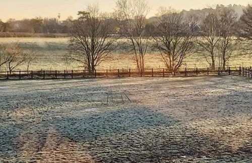 Lavender Cottage - Foto 33