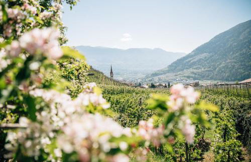 Ferienwohnungen St Hippolyt mit Hallenbad - Foto 76