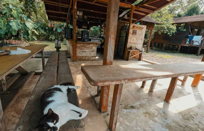 Casa Cielito - Photo 30