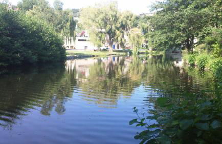 RIBES - Chalet Gîte au coeur de la nature - Foto 31