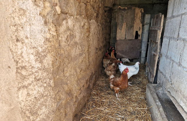 Holiday Home in the Countryside Near the Beach - Foto 11