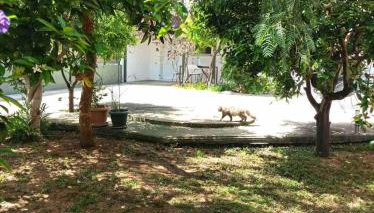 Petrochori Memories Maisonette - Foto 5