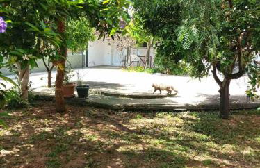 Petrochori Memories Maisonette - Foto 5