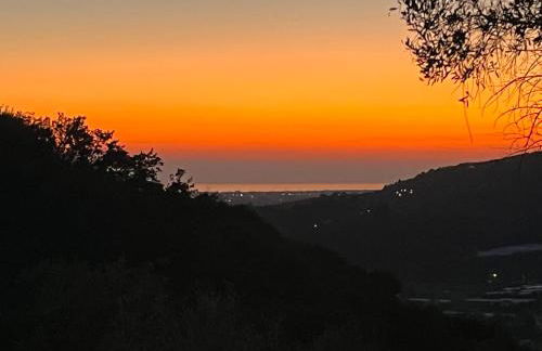 Podere Il Piantoneto - Foto 16