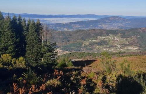 Cardenha das Formiguinhas - Foto 36