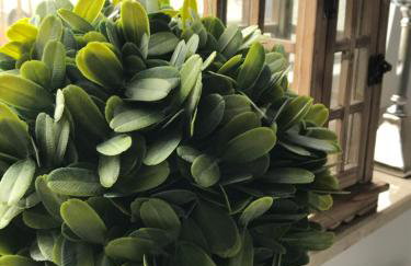 Apartament Stella Park - Foto 15