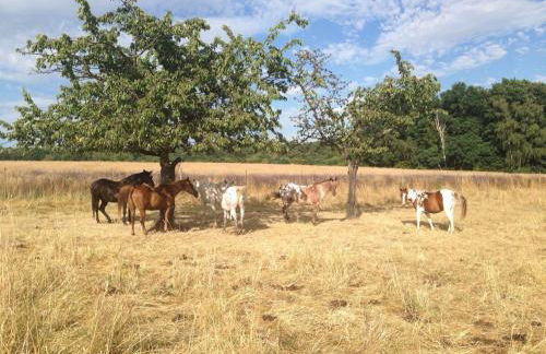 Pension Kroppental - Foto 30