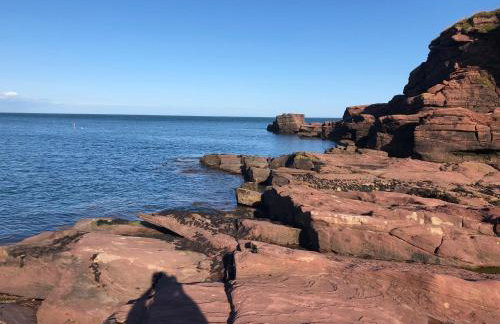 Woodside House - Foto 48