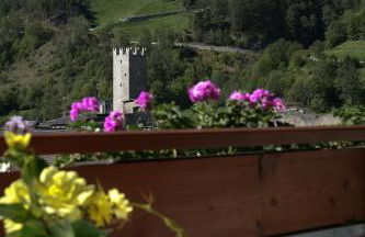 Garni Appartements Almrausch - Foto 57