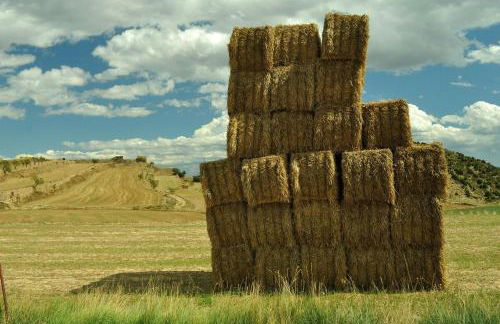 Apartamentos Rurales Casa del Tio Juan - Foto 60
