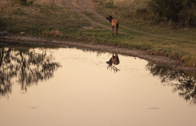 Champion Ranch - Foto 27