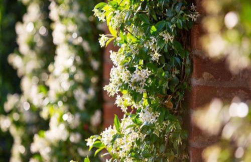 Luxurious, cozy apartment with pool near Cortona in Tuscany versatile - Foto 22