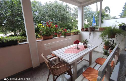 Apartments with a parking space Sosi, Umag - 15967 - Photo 13