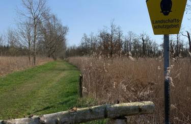 Eiderperle - Foto 51