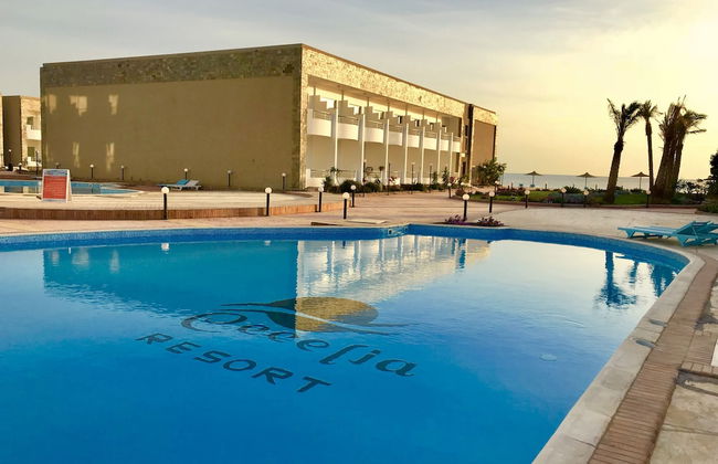 Cecelia Resort - Foto 15