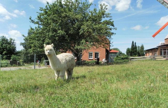 Lovely Apartment in Neubukow near Sea - Foto 20