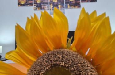 Aura Station Ciampino 'Roma, StazioneFS, Aeroporto' - Foto 19