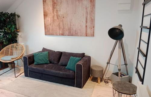 Pounette, appartement T2, centre thermes Luxeuil - Foto 3