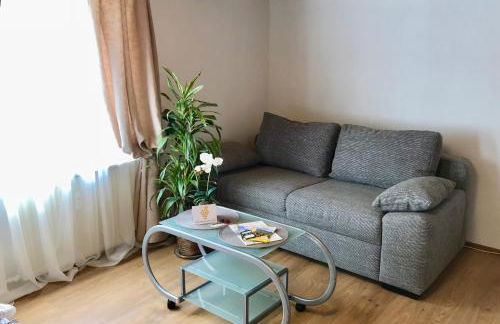 Fewo Zur Goldenen Traube - Foto 54