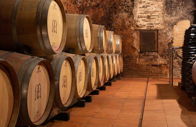 Visita a la bodega Muelas - Foto 1