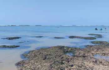 Blue House - Foto 22