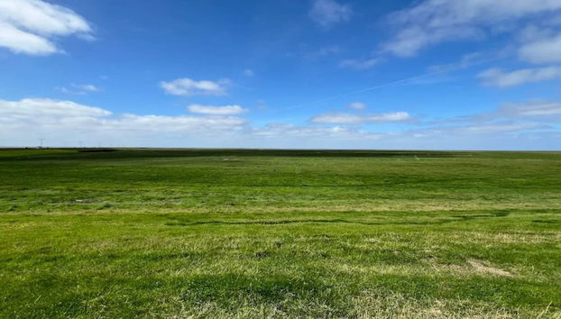 Tranquil Retreat in Skaerbaek - By Traum Ferienwohnungen - Foto 4, Diversos