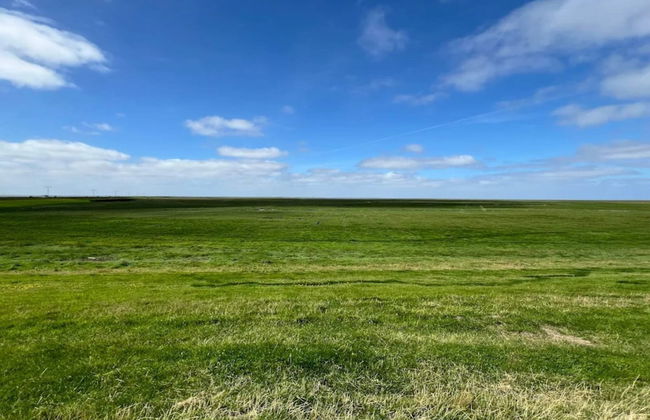 Tranquil Retreat in Skaerbaek - By Traum Ferienwohnungen - Foto 4