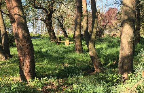 Ekoturystyka Nowina - Foto 15