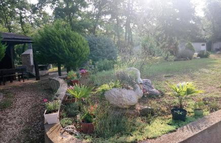 Apartment Andjel - Foto 29