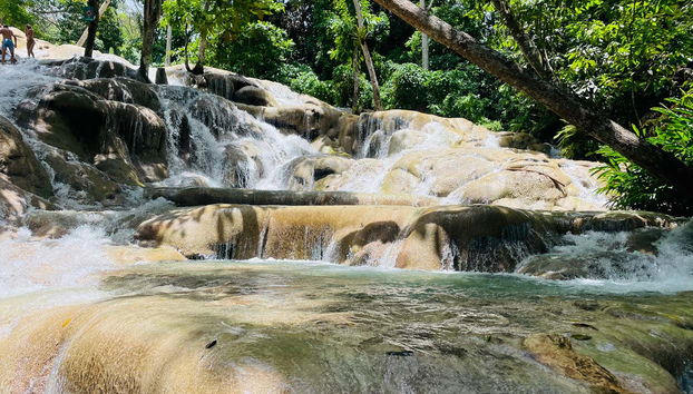 Dunn's River Falls Half-Day Trip + Cascade Climb - Foto 5