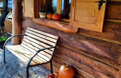 Jabłoniowa Chatka - Foto 14