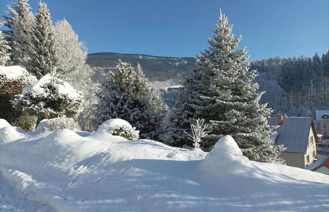 Lavish Cottage near Ski Area in Cerny Dul - Foto 39